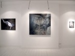 Red Gallery 2