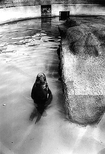 London Zoo