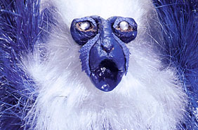 Anna Biddulph: Gibbon Mixed media